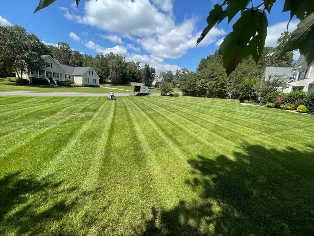 Lawn Care image