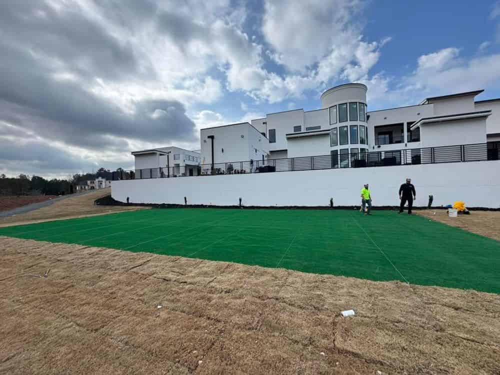 Artificial Turf image