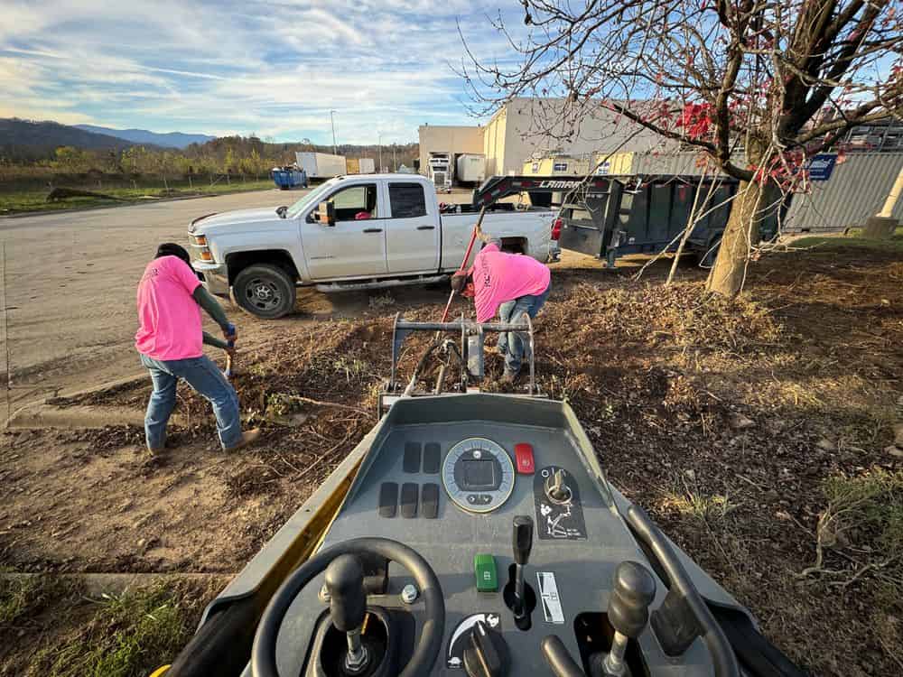Brush Clearing image