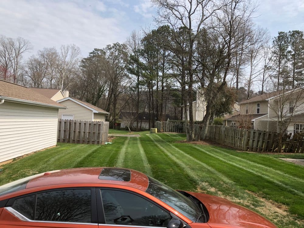 Lawn with striped grass in a suburban backyard, featuring a parked orange car and trees.