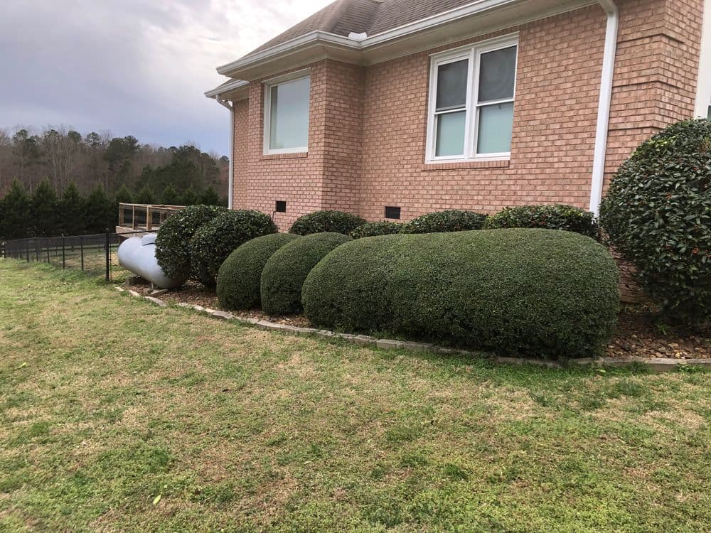 Brick house with manicured round shrubs and grassy lawn, featuring a propane tank nearby.