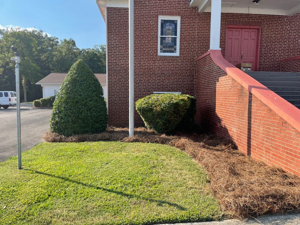Landscaped entrance with shrubs, grass, and mulch at a brick building.