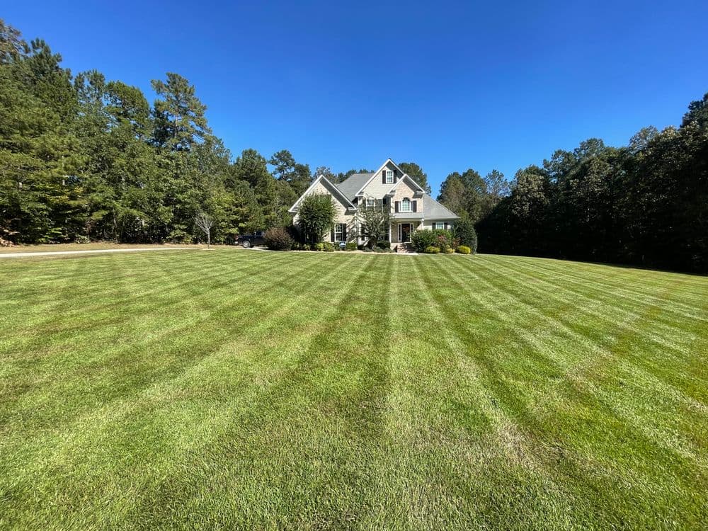 Beautiful home with manicured lawn and clear blue sky, surrounded by trees.