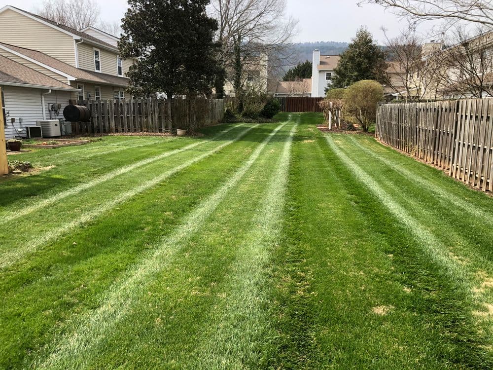 Stunning Lawn Transformations in Georgia