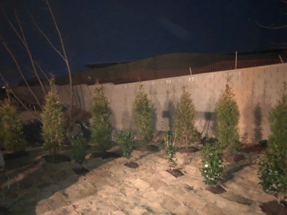 Nighttime garden layout with recently planted shrubs along a stone path and fence.