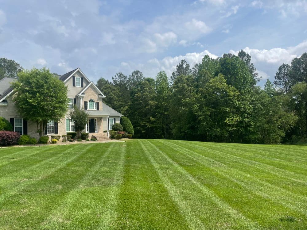 Green lawn striped with mowing patterns beside a large house and lush trees in the background.