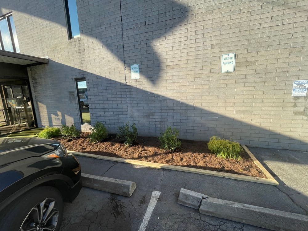 Landscaped area with shrubs and mulch beside a building's entrance and parking space.
