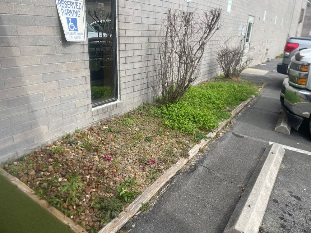 Landscape view of a parking lot garden with shrubs and low-growing plants beside a building.