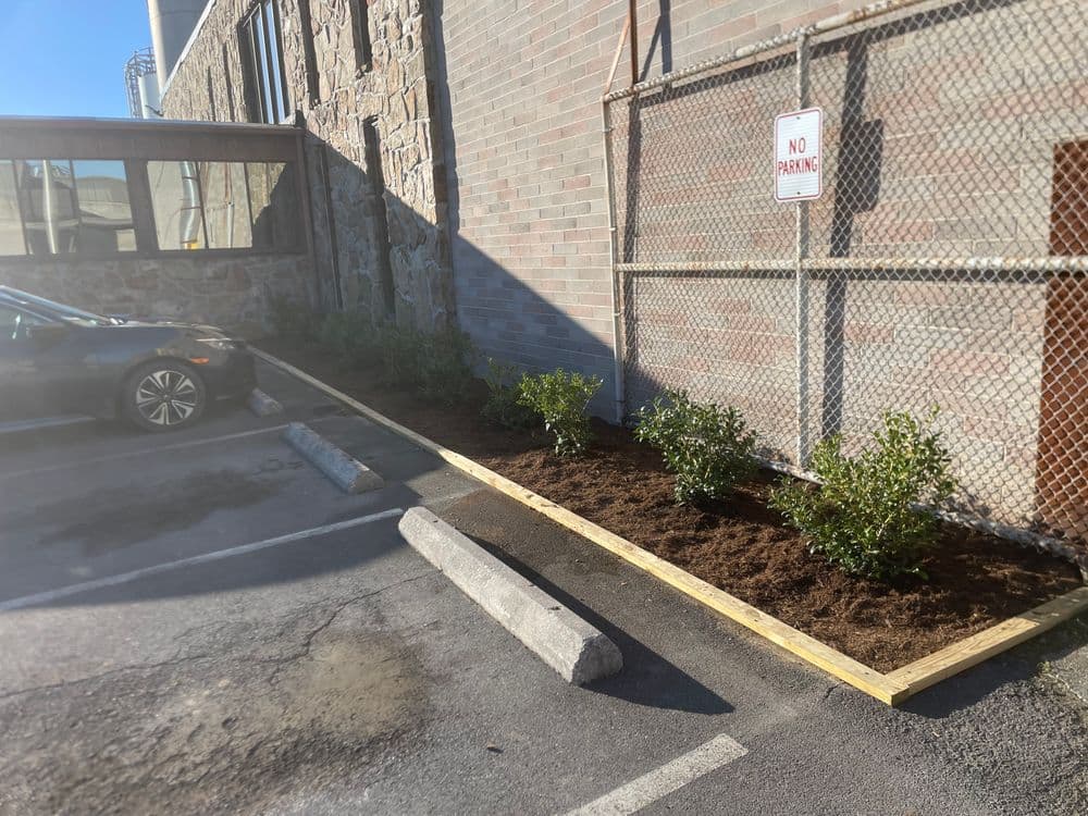 Landscaped area with fresh plants and mulch beside a parking lot, near a brick building.