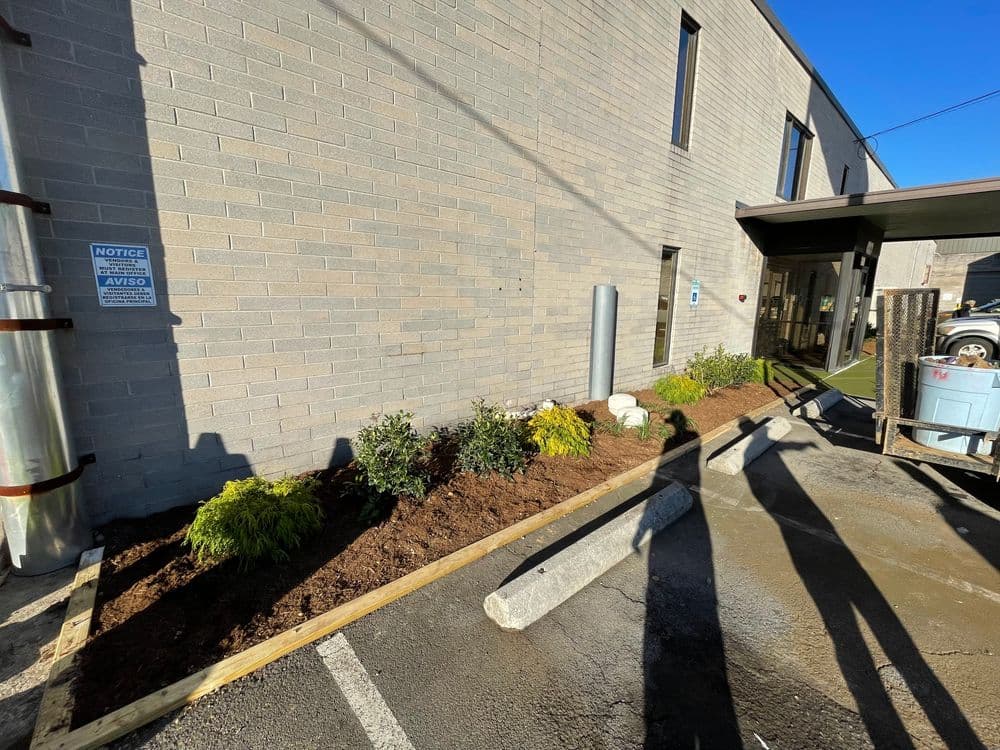 Landscaped area with plants, mulch, and building exterior under clear blue sky.