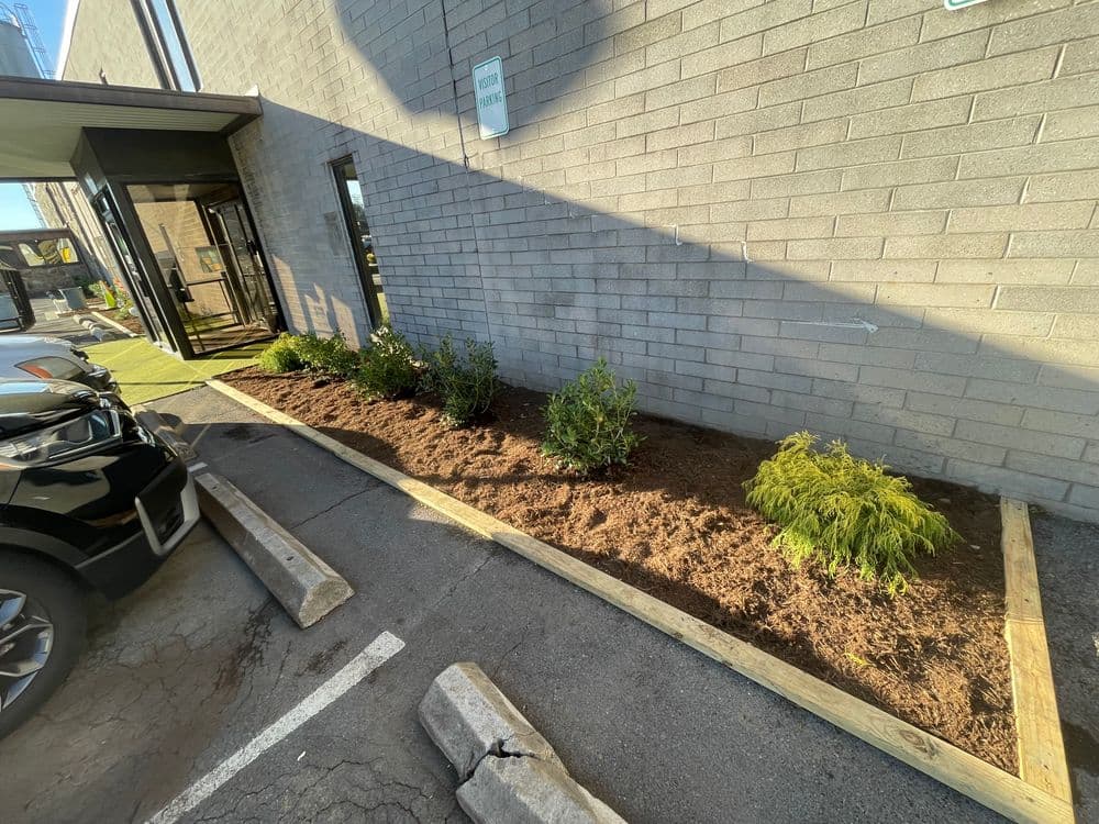 Landscape design featuring shrubs and mulch along a commercial building's side entrance.