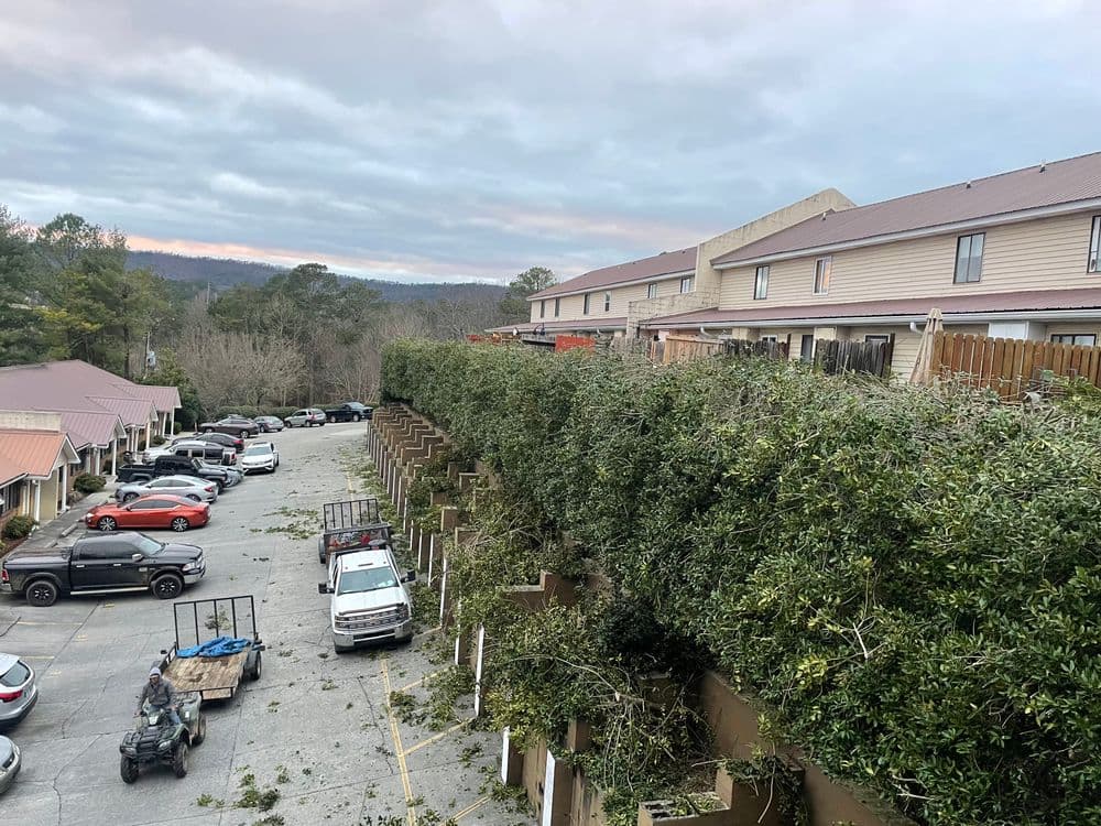 Overgrown hedges in a parking lot near a motel, with vehicles and a worker in the foreground.