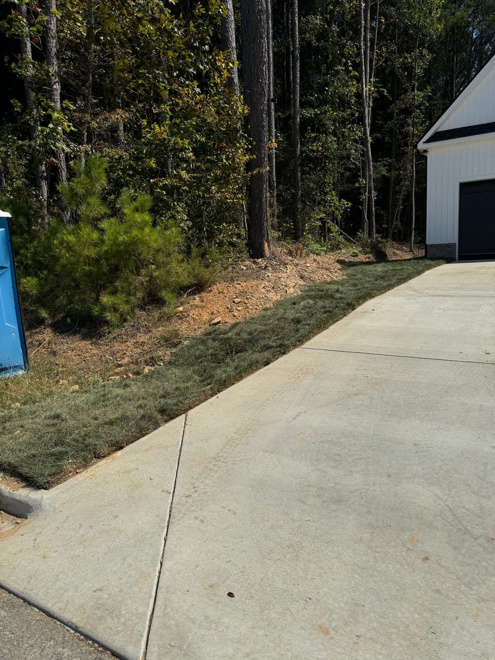 Newly laid sod along a driveway next to a wooded area and a garage.