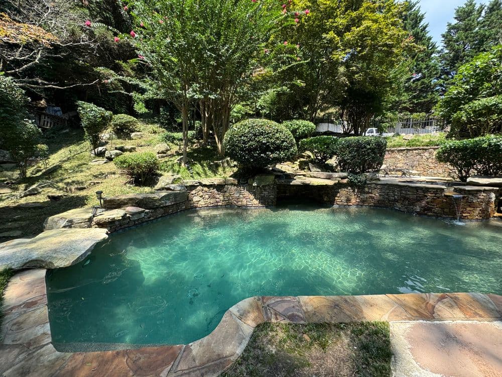 Serene garden pool surrounded by lush greenery and natural stone features.