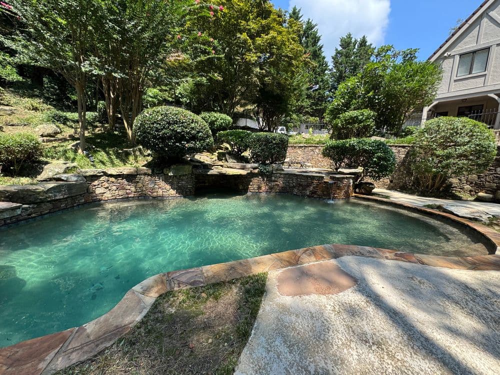 Serene backyard pool surrounded by lush greenery and stone landscaping on a sunny day.